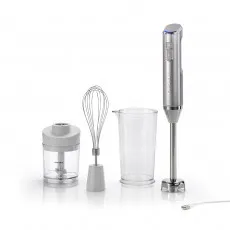 Blender Cuisinart RHB100E, Inox