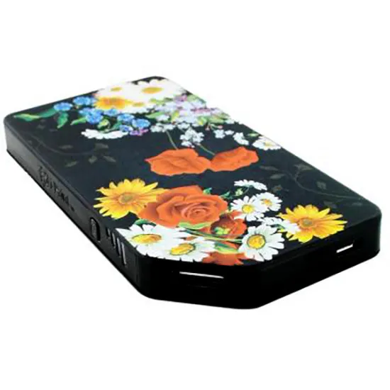 Аккумулятор внешний 3000 мАч I-Paint Power Bank Flower, Black