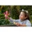 Mattel Enchantimals GYJ04 Игровой набор Феникс Фалон и Санрайз