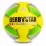Minge de fotbal Derbystar Brilliant Basic Pro TT U0657