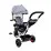 Велосипед-коляска Funfit Kids Twist 2675 Gray