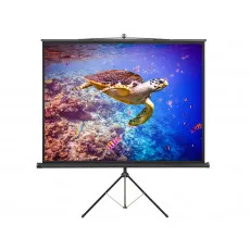 Ecran de proiectie Elite Screens T120NWV1