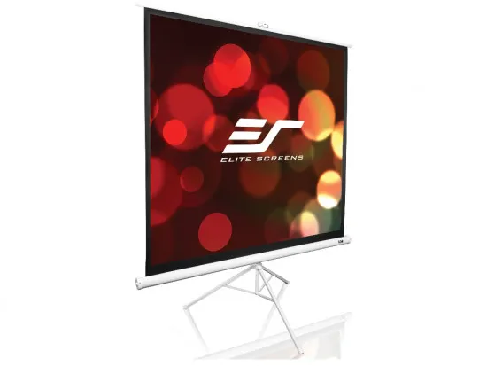 Ecran de proiectie Elite Screens T119NWS1
