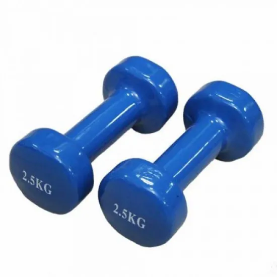 Halteră Shuanghai Sport A8025 (2,5 kg)