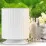 Увлажнитель воздуха Trotec B25E White