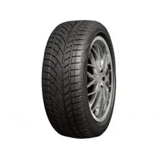 Anvelopа de iarna RoadX RXEROST WH01 205/65 R15 94H