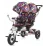 Tricicleta Chipolino Tandem Tandem TRKTA0185MC Multicolor