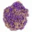 Kinetic Sand 6054245 Кинетический песок Ракушка мини