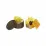 L.O.L Surprise! 580522 Игровой набор с куклой OMG Bee с аксессуарами, 27 см