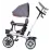 Tricicleta Chipolino Matrix 360 Matrix 360 TRKMT0222PL Platinum