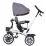 Tricicleta Chipolino Matrix 360 Matrix 360 TRKMT0222PL Platinum