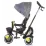 Tricicleta Chipolino 360 Vector MG 360 Vector MG TRKVEM222PL Platinum