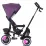 Tricicleta Chipolino 360 Vector MG 360 Vector MG TRKVEM225LL Lilac