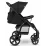 Коляска прогулочная Lionelo Annet Plus Black Carbon
