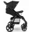 Коляска прогулочная Lionelo Annet Plus Black Carbon