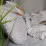 Lenjerie de pat Cottony Stripe Satin Light Gray N9 (2 persoane/Satin de Lux)