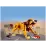 Lego Creator 31112 Constructor Wild Lion