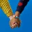 Lego Dots 41953 Constructor Rainbow Bracelet with Charms
