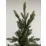 Brad artificial Anma Lena P15 (180 cm)