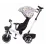 Трицикл Chipolino SMART TRKSA02203WH White