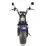 Scooter electric Citycoco TX-10-6, 3000 W, 24 Ah, Violet