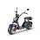 Scooter electric Citycoco TX-10-6, 3000 W, 24 Ah, Violet
