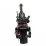 Scuter electric Citycoco TX-B14 City Hopper, Black