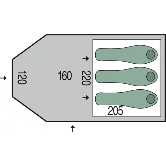 Cort Pinguin Horizon Green
