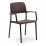 Scaun Nardi Bora, Caffe