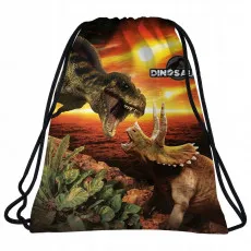 Sac pentru încălțăminte Derform Dinosaurs WODN18 Negru Sac pentru încălțăminte Derform Dinosaurs WODN18 Negru