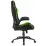 Fotoliu de gaming Xenos Neron, Black / Green