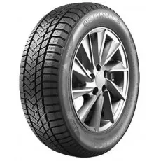 Шина зимняя Sunny NW211 225/50 R17
