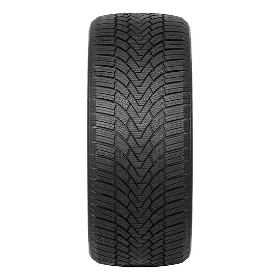 Шина зимняя Arivo Winmaster ProX ARW3 255/40 R20 101V XL