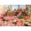 Art Puzzle 5398 Puzzle Rose Garden, 1500 el.