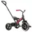 Трицикл Qplay Elite Plus New Rose