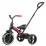 Трицикл Qplay Elite Plus New Rose