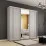 Шкаф купе Mobildor Compact (240x220) с раздвижными дверями Зеркало + ДСП с декоративными линиями, Gray