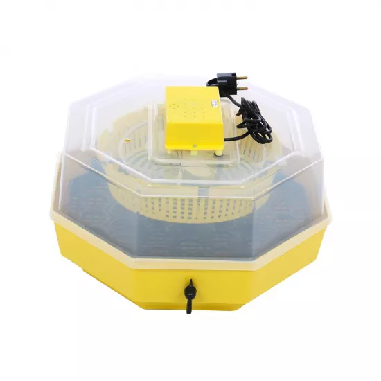 Incubator pentru ouă CLEO 5D/INC2 (84362100)