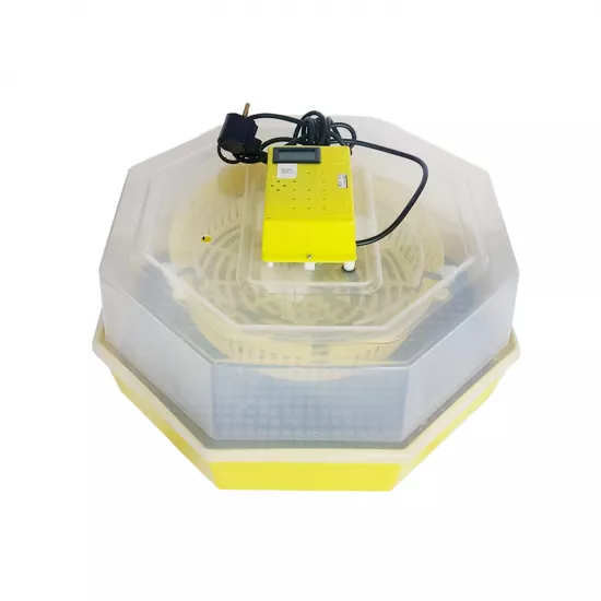 Инкубатор для яиц CLEO ERT-MN 9051/INC4 (84362100)