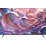 Televizor Kivi 50U760QB Black (50"/UHD 4K)