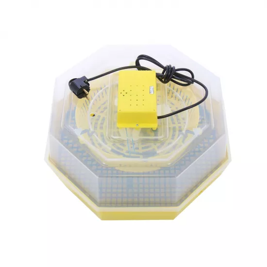 Инкубатор для яиц CLEO ERT-MN9050 (84362100)