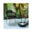 Scaun Cornido Black