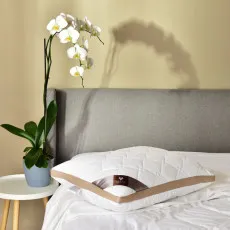 Подушка Idea Smart Present 50x70cm White/Beige Подушка Idea Smart Present 50x70cm White/Beige