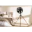 Ventilator Camry CR7329 Black (100 W)