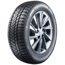 Шина зимняя Sunny NW211 225/40 R18 92V