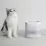 Dispenser de apa potabila Petkit Eversweet SOLO SE, 1.8 L
