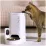 Hrănitor automat Petkit YumShare SOLO, 3 L, cu cameră