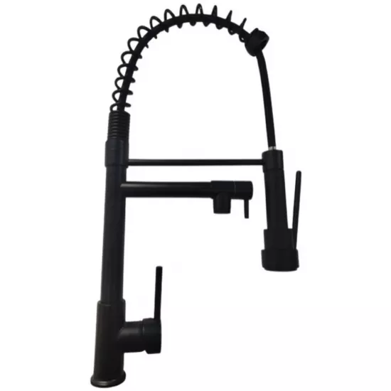 Смеситель для кухни Backer EVF28 Black