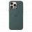 Husă Apple Silicone Case with MagSafe pentru iPhone 16 Pro Max, Lake Green