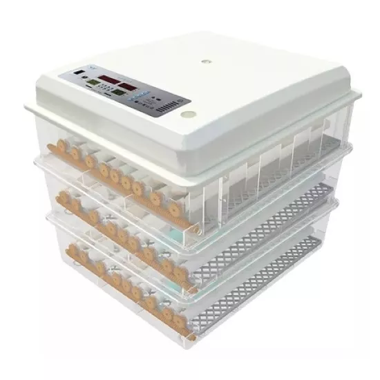 Incubator Demetra DM-176